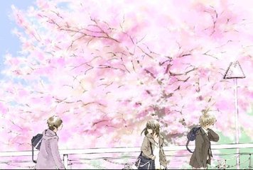 害羞草传媒有限公司